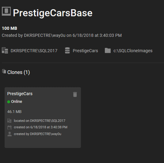 the database image and clone details